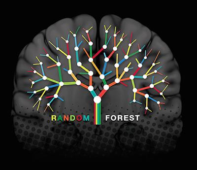 Random forest store algorithm for classification